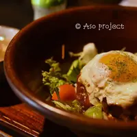 共楽園・林檎の樹の写真・動画_image_215949