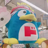 ドンキホーテ ホノルルの写真・動画_image_216121