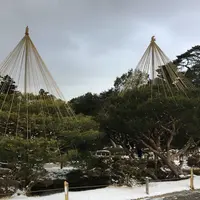 兼六園の写真・動画_image_216162