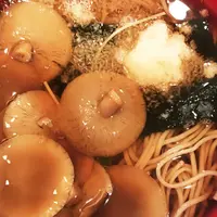 竹むらの写真・動画_image_216186