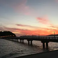 全国ご当地うどんサミットの写真・動画_image_216208