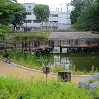文庫の森の写真・動画_image_216225