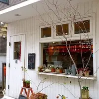 カフェ・ロッタ（Cafe Lotta）の写真・動画_image_216562