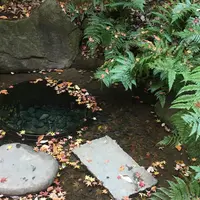 明治神宮の写真・動画_image_216579
