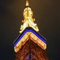 東京タワーの写真・動画_image_216588