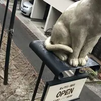 猫町ギャラリーの写真・動画_image_216716
