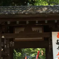 等々力不動尊の写真・動画_image_216720