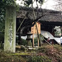 深大寺の写真・動画_image_216726