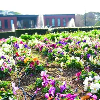 久留米市美術館の写真・動画_image_216833