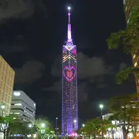 福岡タワーの写真・動画_image_216835