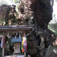 糸川遊歩道の写真・動画_image_216854