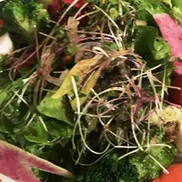 MARUGO LUNA SOLAの写真・動画_image_217051