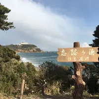 恋路ヶ浜の写真・動画_image_217166