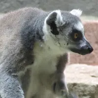 NIFREL（ニフレル）の写真・動画_image_217225