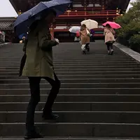 鶴岡八幡宮の写真・動画_image_217271