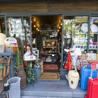 雑貨屋 fellows 心斎橋店の写真・動画_image_217294