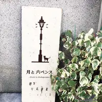 月と六ペンスの写真・動画_image_217316