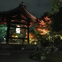 高台寺の写真・動画_image_217322