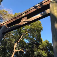 明治神宮の写真・動画_image_217510