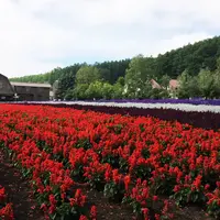 【閉業】彩香の里の写真・動画_image_217542