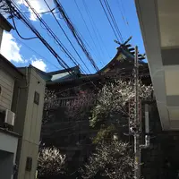湯島天満宮（湯島天神）の写真・動画_image_217680