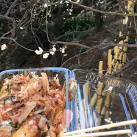 湯島天満宮（湯島天神）の写真・動画_image_217684