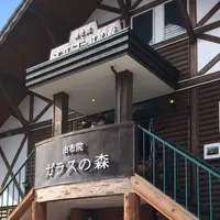 由布院オルゴールの森の写真・動画_image_217917