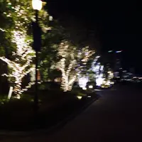 アニヴェルセルカフェ みなとみらい横浜の写真・動画_image_217937