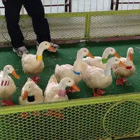 ラクテンチの写真・動画_image_217996