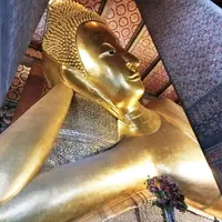 Wat Pho（ワット・ポー）の写真・動画_image_218023