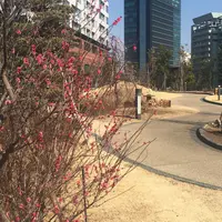 目黒天空庭園の写真・動画_image_218151