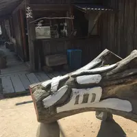またいちの塩の写真・動画_image_218194