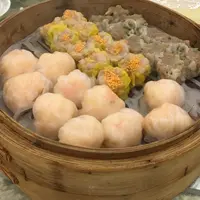 鳳城皇宴の写真・動画_image_218239