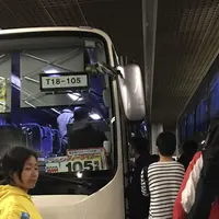 東京都庁大型駐車場の写真・動画_image_218621