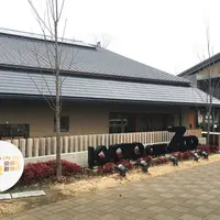 京都市動物園の写真・動画_image_218687