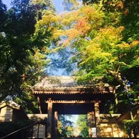 円覚寺の写真・動画_image_218819