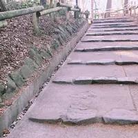 井の頭恩賜公園の写真・動画_image_218913