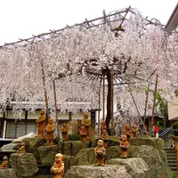 六角堂の写真・動画_image_219077