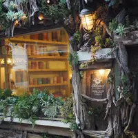 Candle JUNEの写真・動画_image_219179