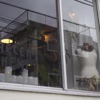 HELEN HEIJIの写真・動画_image_219180