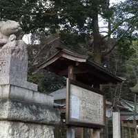 調神社の写真・動画_image_219261
