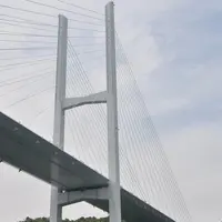 長崎港の写真・動画_image_219306