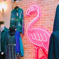 フラミンゴ京都店の写真・動画_image_219413