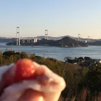 しまなみ海道の写真・動画_image_219451