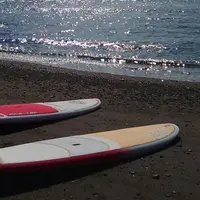 Sunny Funny Daysの写真・動画_image_219618