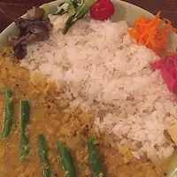 カレーの惑星の写真・動画_image_219860