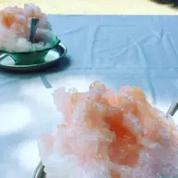 熊本藩主細川家墓所・泰勝寺跡の写真・動画_image_219884