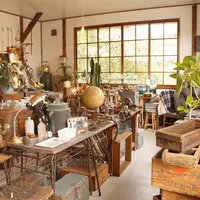 SEED antiques & Photo studioの写真・動画_image_220103