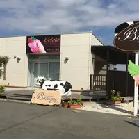 バロックの写真・動画_image_220159