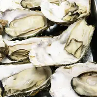 カキ小屋の写真・動画_image_220235